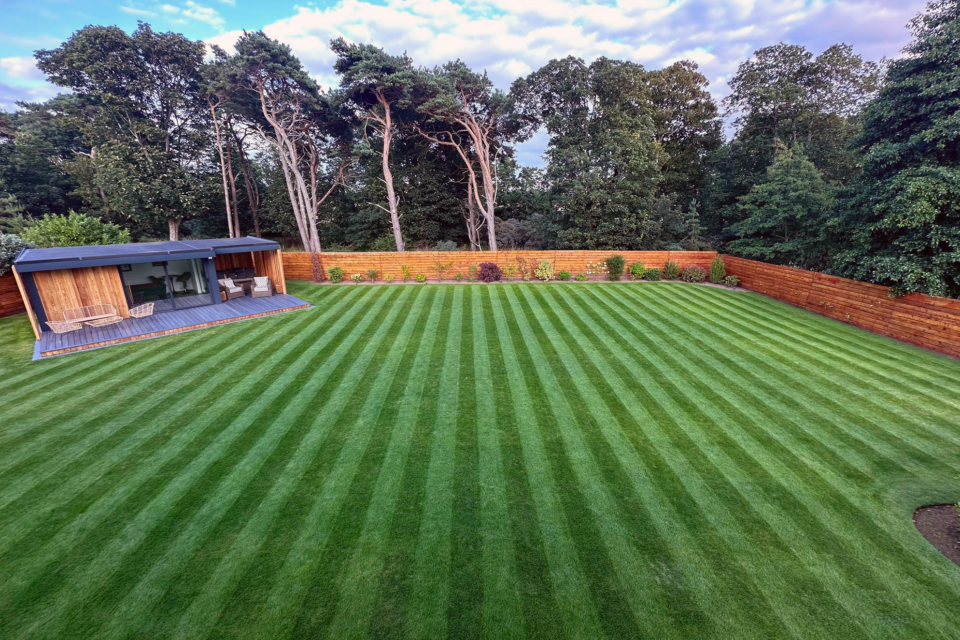 Home Wide striped lawn in a mature Edinburgh garden