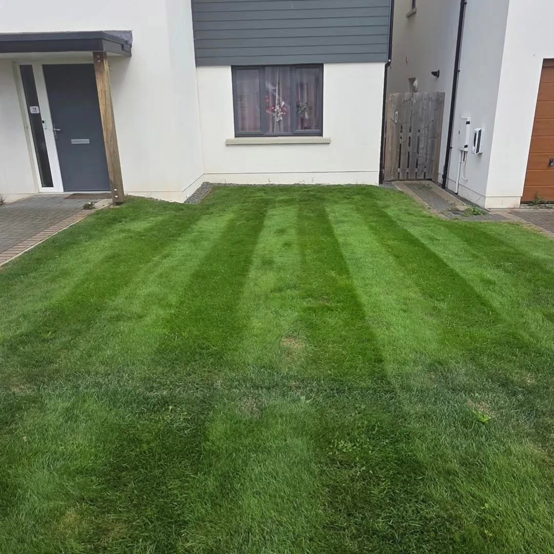 Our Work Lawn Renovation in Loanhead