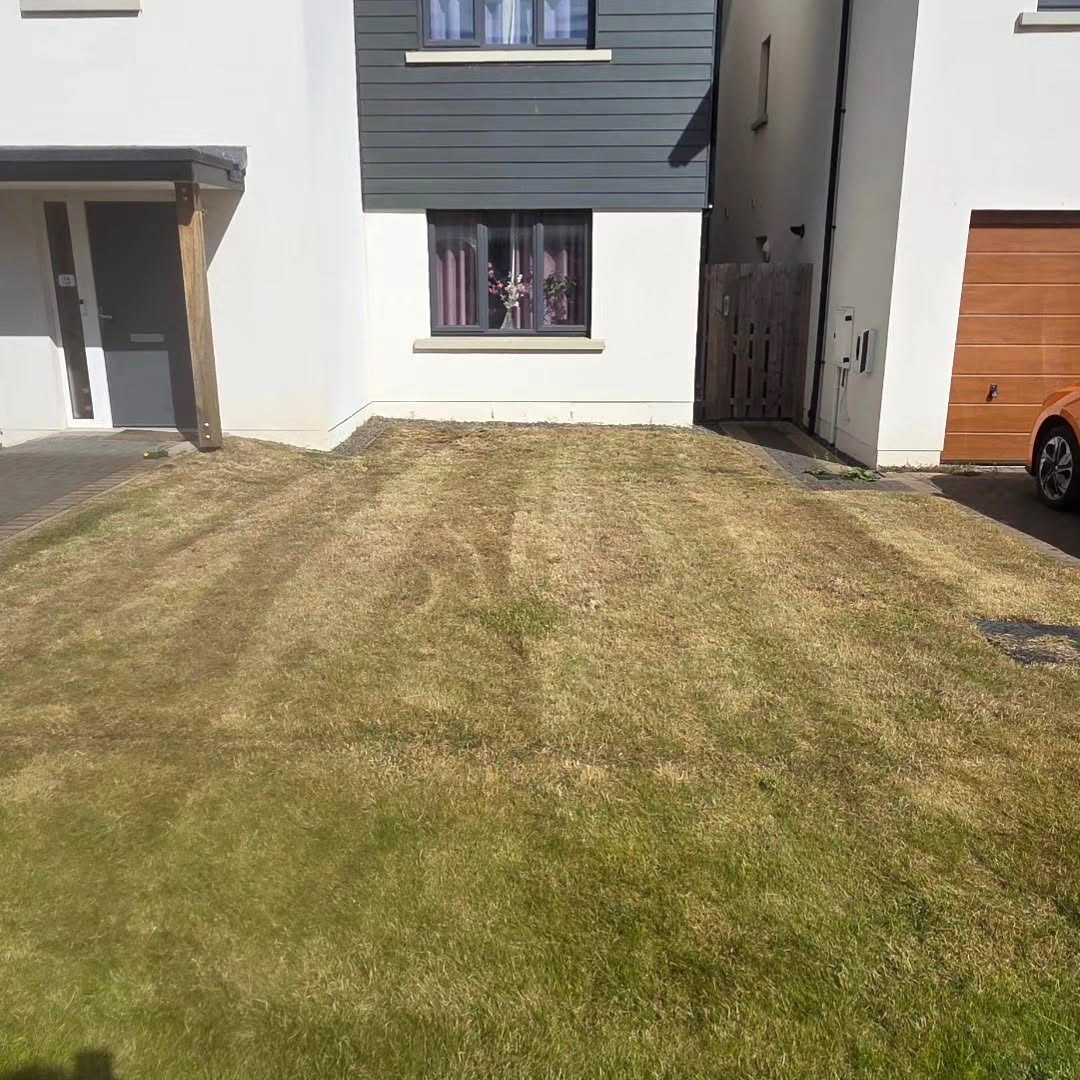 Lawn Care: before