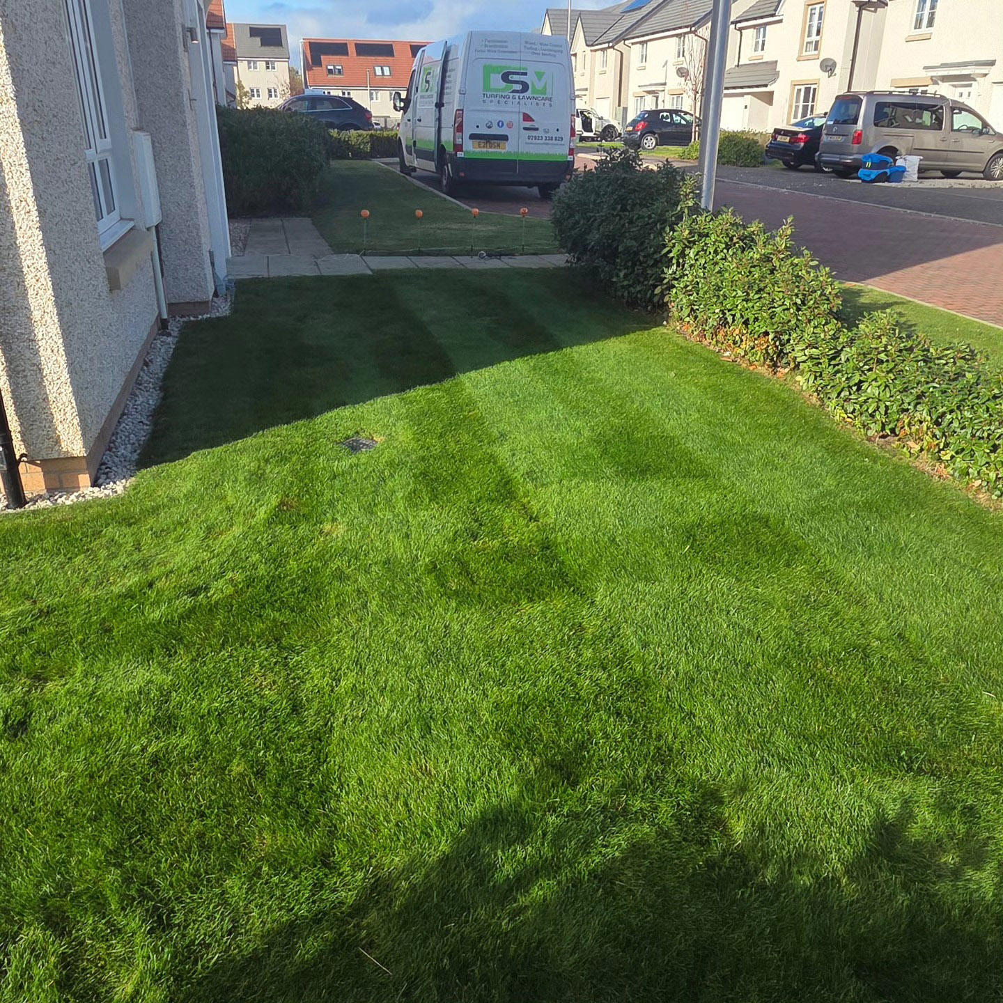 Neatly striped lawn with clipped hedge