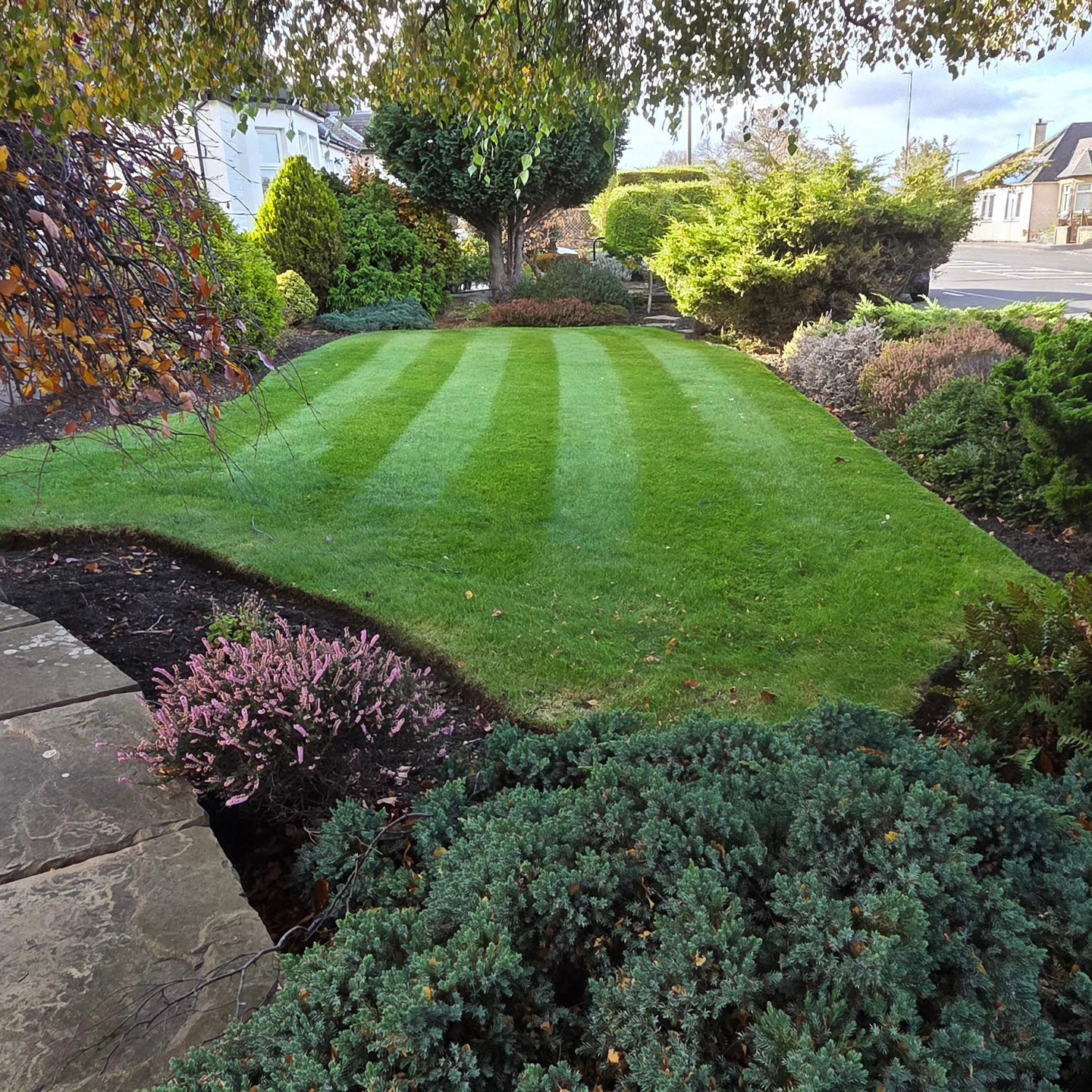 Home DSM treating a lawn during a visit