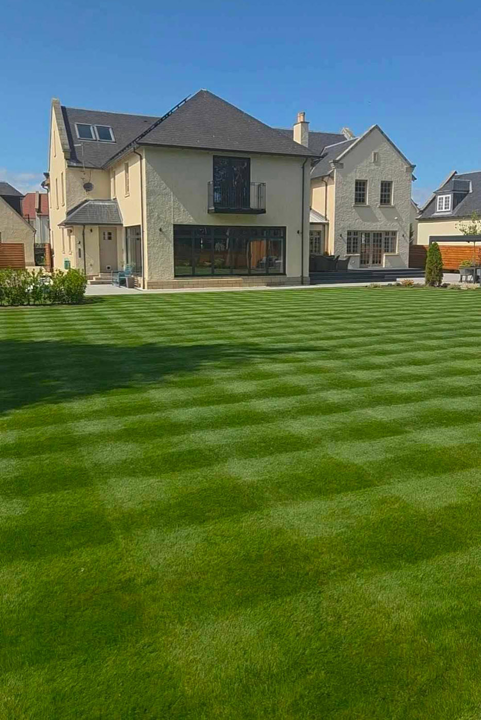 Home Thick, healthy lawn in Edinburgh