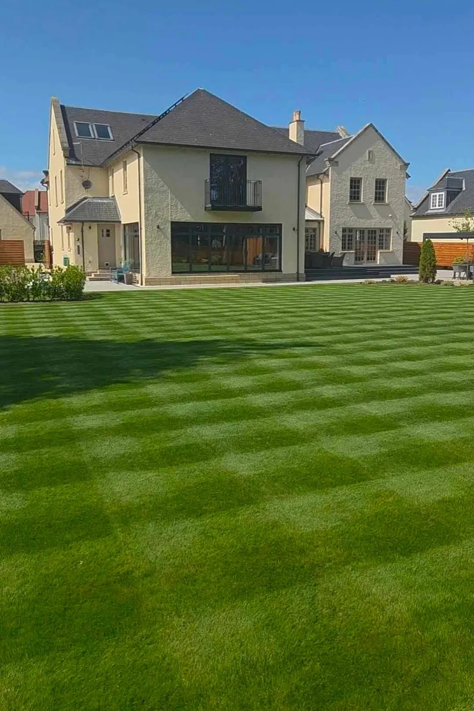 Thick, healthy lawn in Edinburgh