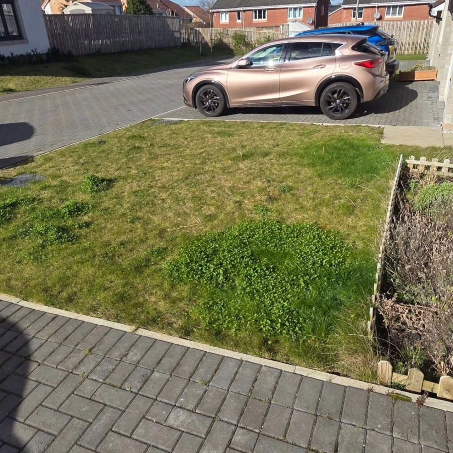 Patchy, weed-filled front lawn in Gilmerton in April, before DSM took it on
