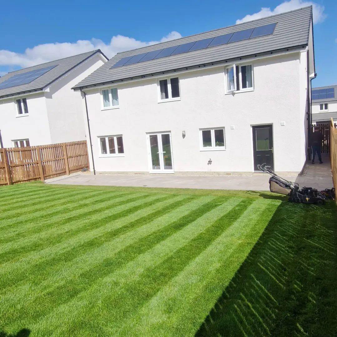 Striped lawn after a regular maintenance cut