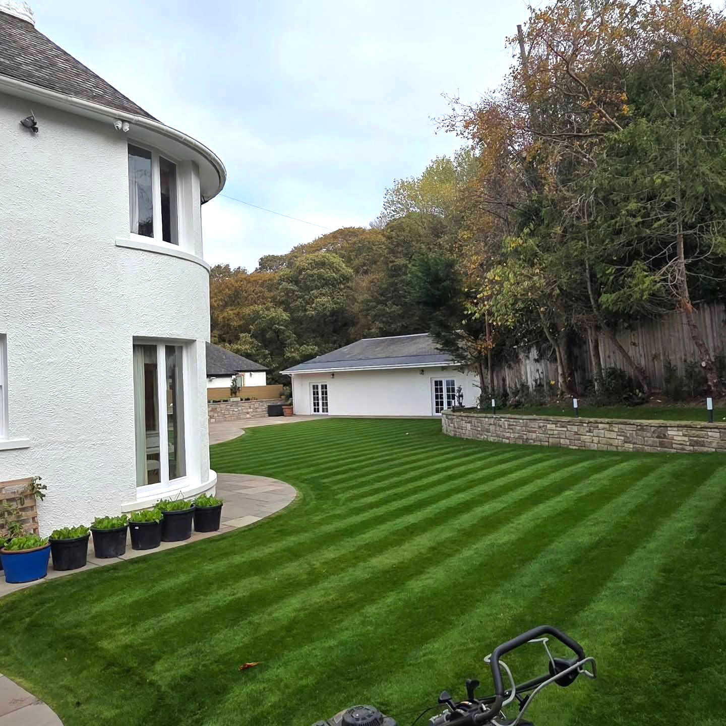 Curved lawn edges after a maintenance cut