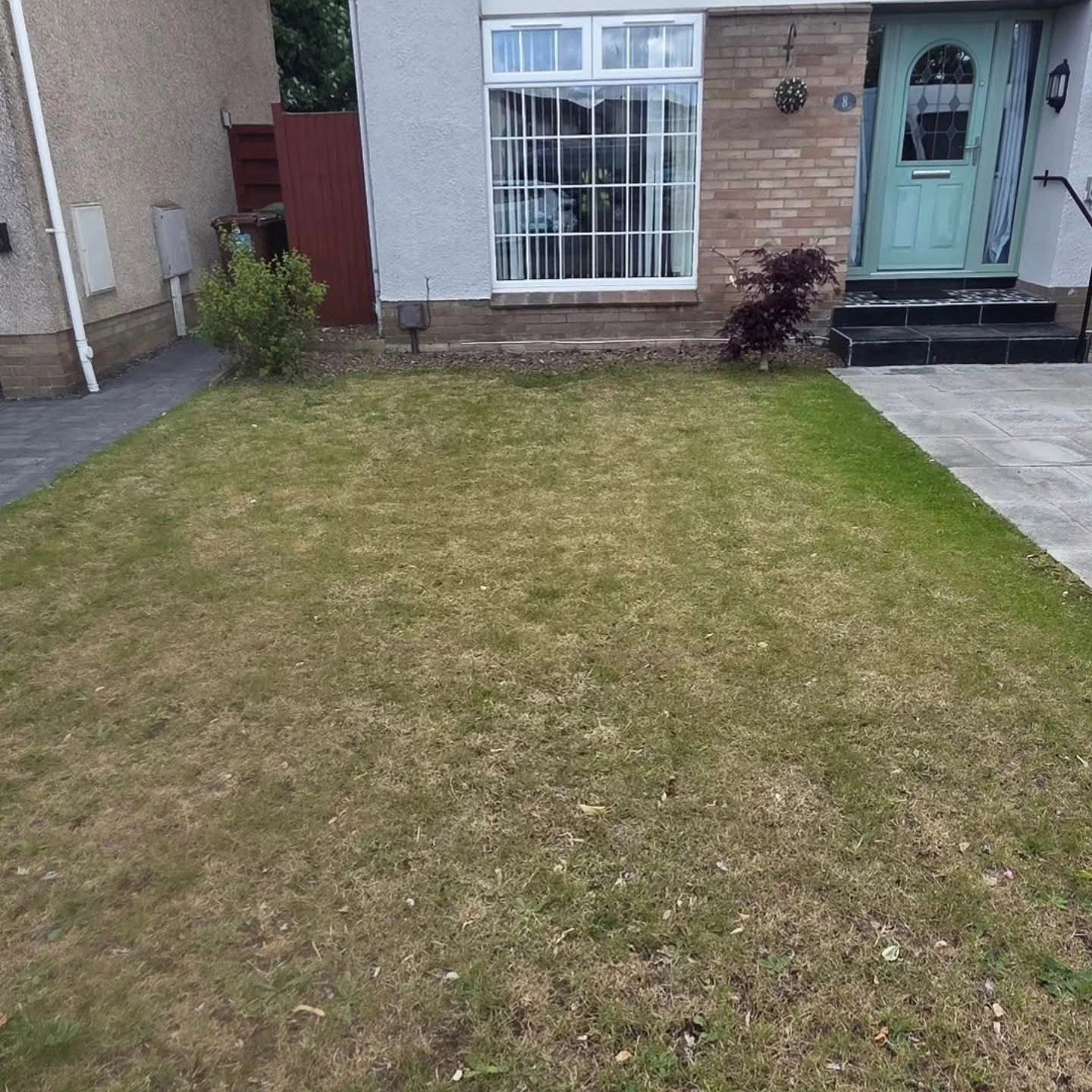 Patchy, struggling lawn in Port Seton before starting the DSM treatment and maintenance plan