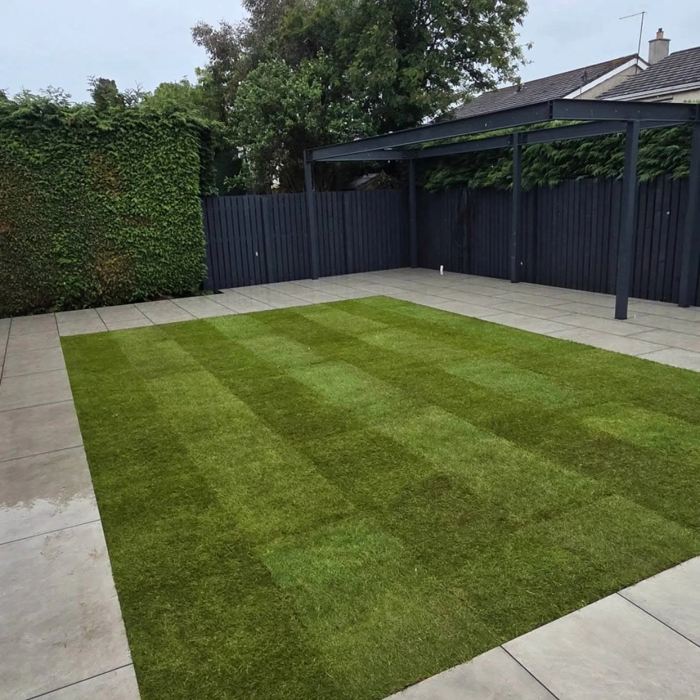 New striped lawn between paving in an Eskbank garden after turfing