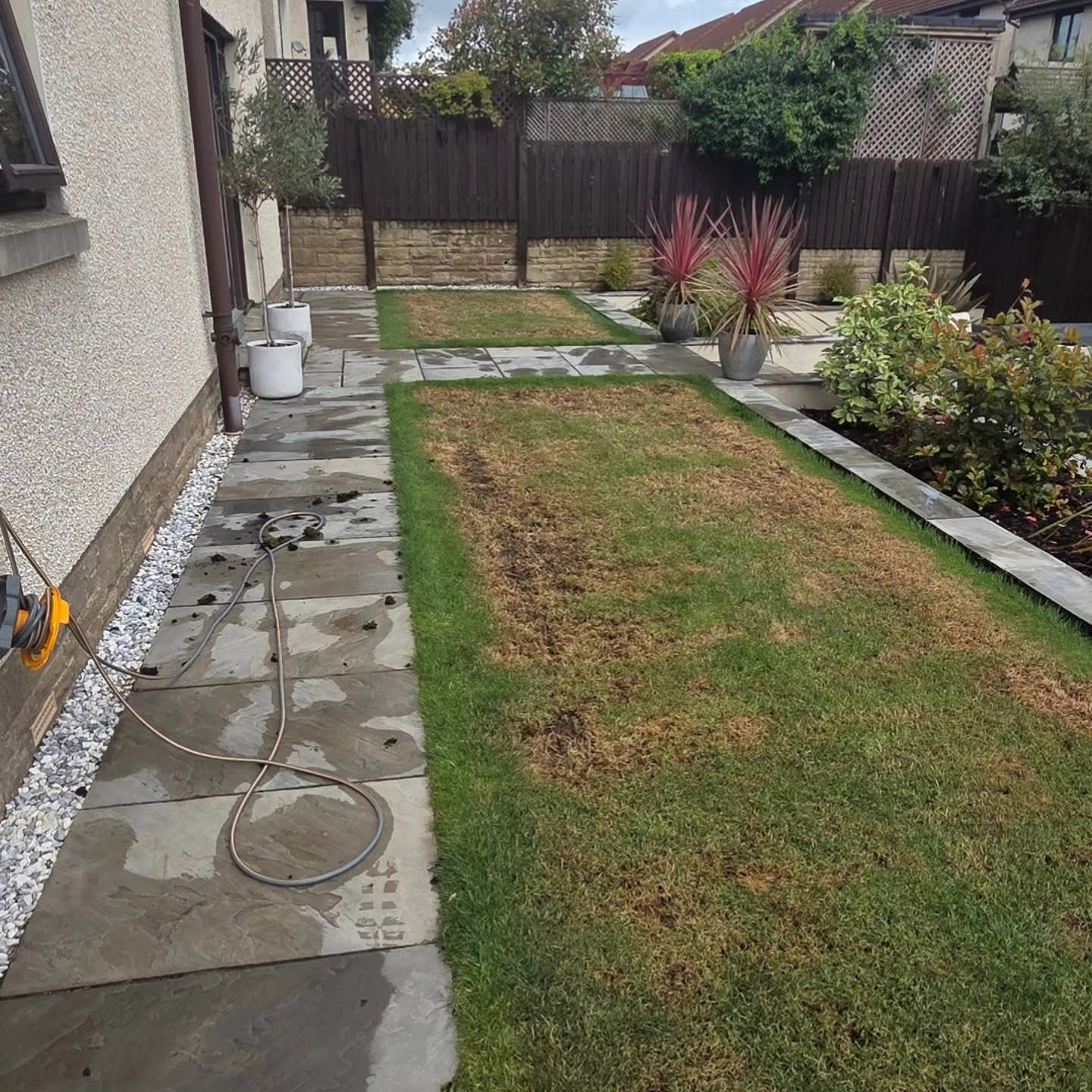 Patchy, tired lawn beside the paved path in a Kirkliston garden before turfing