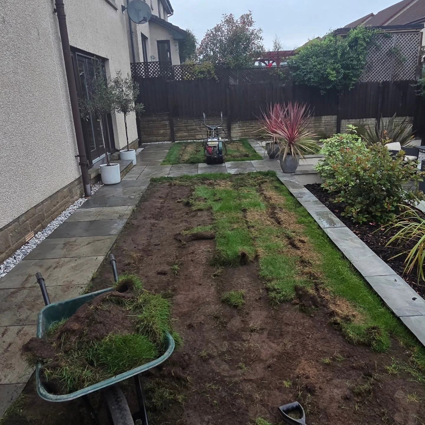 Old lawn uplifted and cleared in a Kirkliston garden, wheelbarrow of turf in front