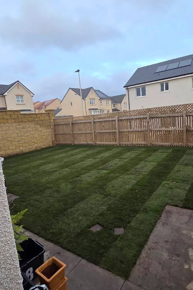 New lawn established in an enclosed rear garden