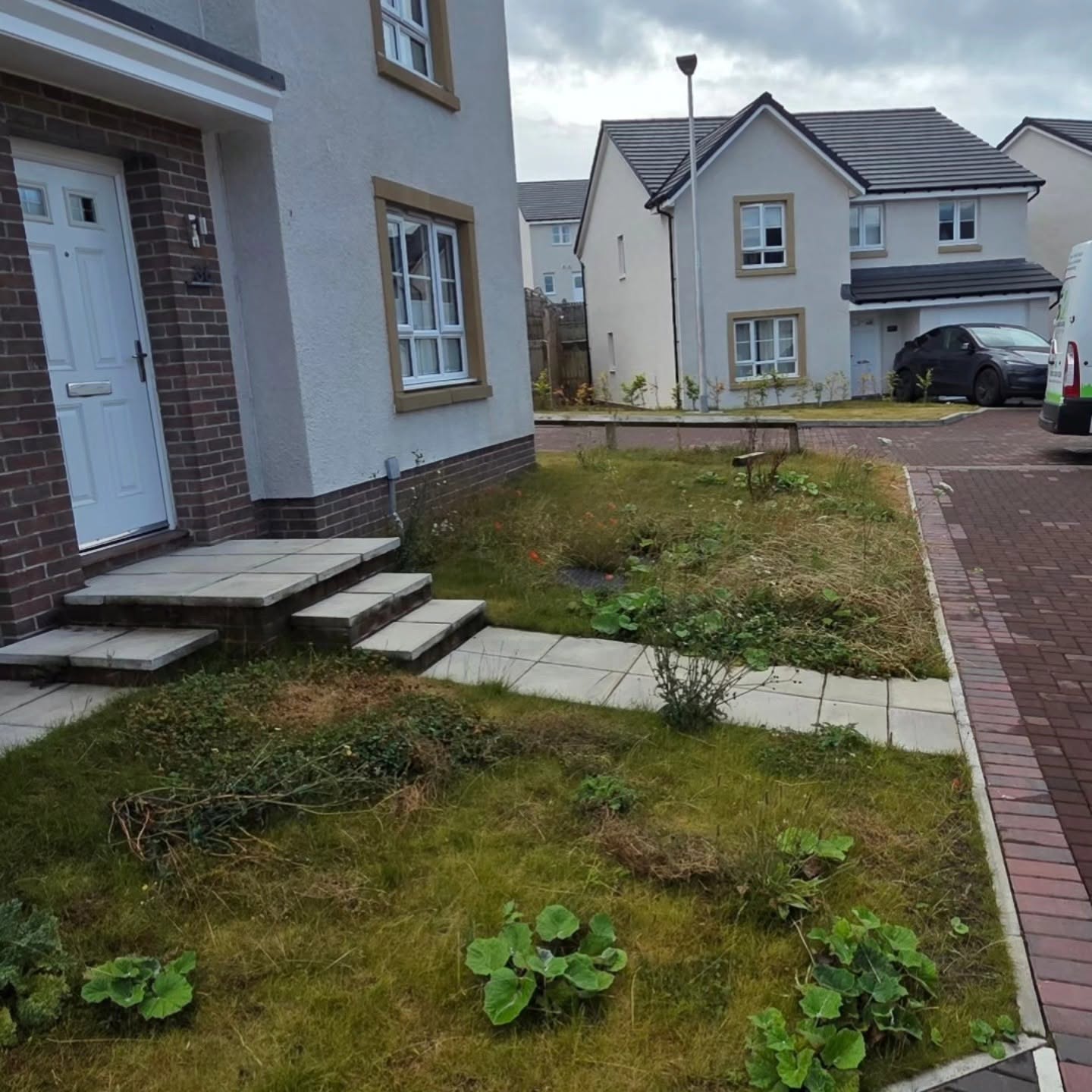 Front lawn in Gilmerton with bare patches and broadleaf weeds, before DSM took it on to the plan