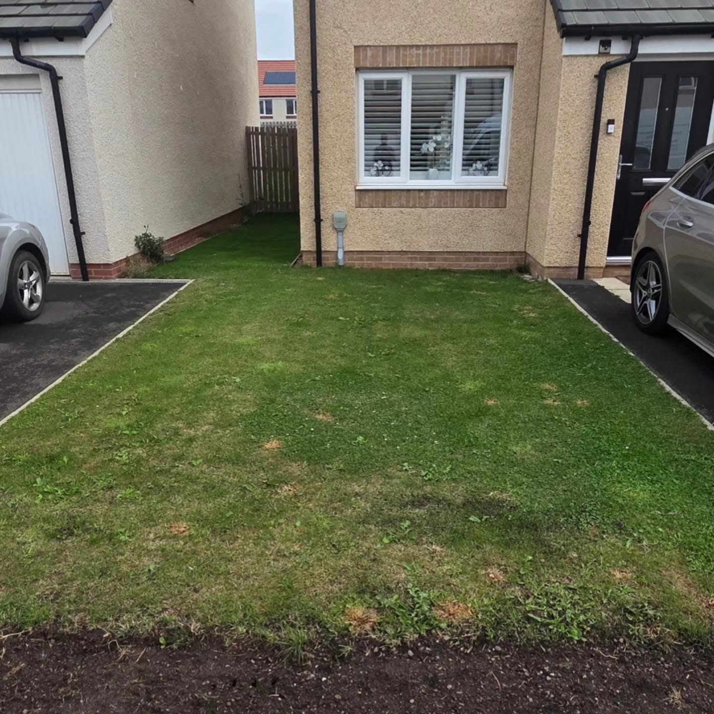 New-build front lawn in Musselburgh with weeds, moss and sparse grass, before DSM overseeded it