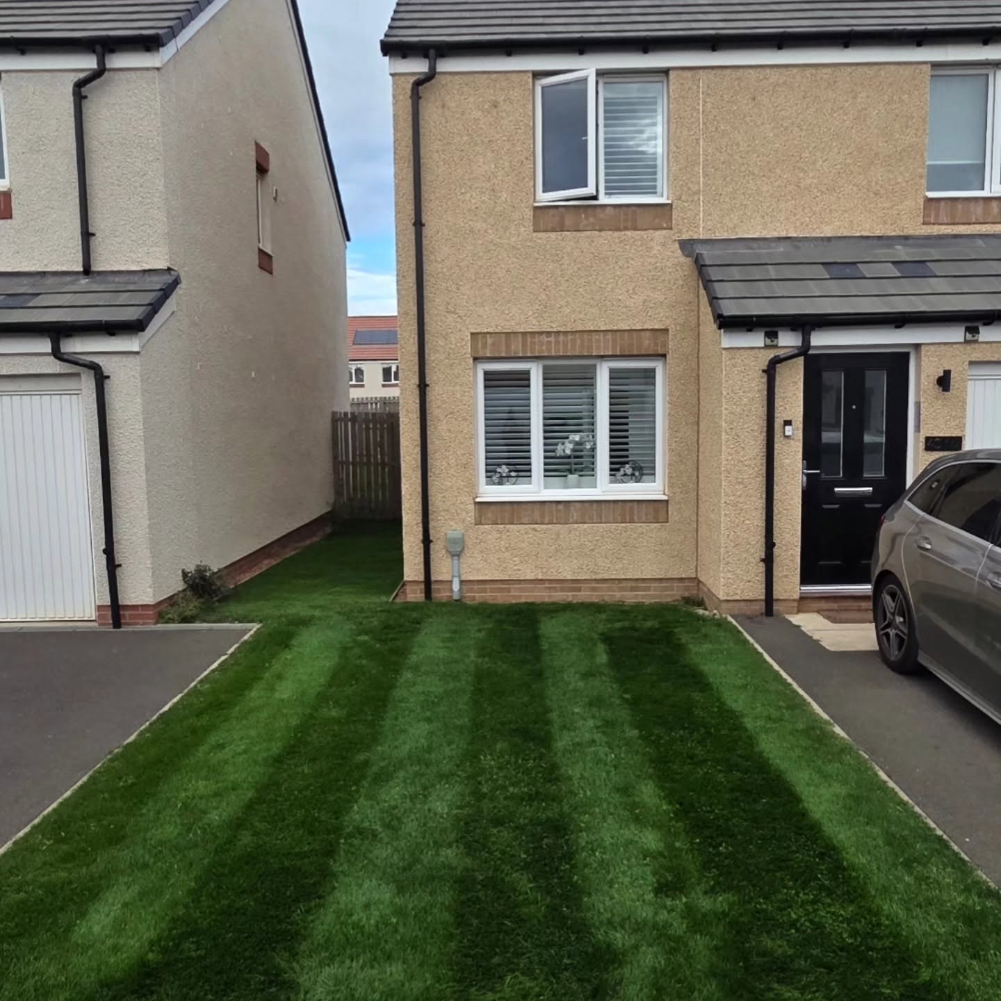 Lawn Renovation in Musselburgh