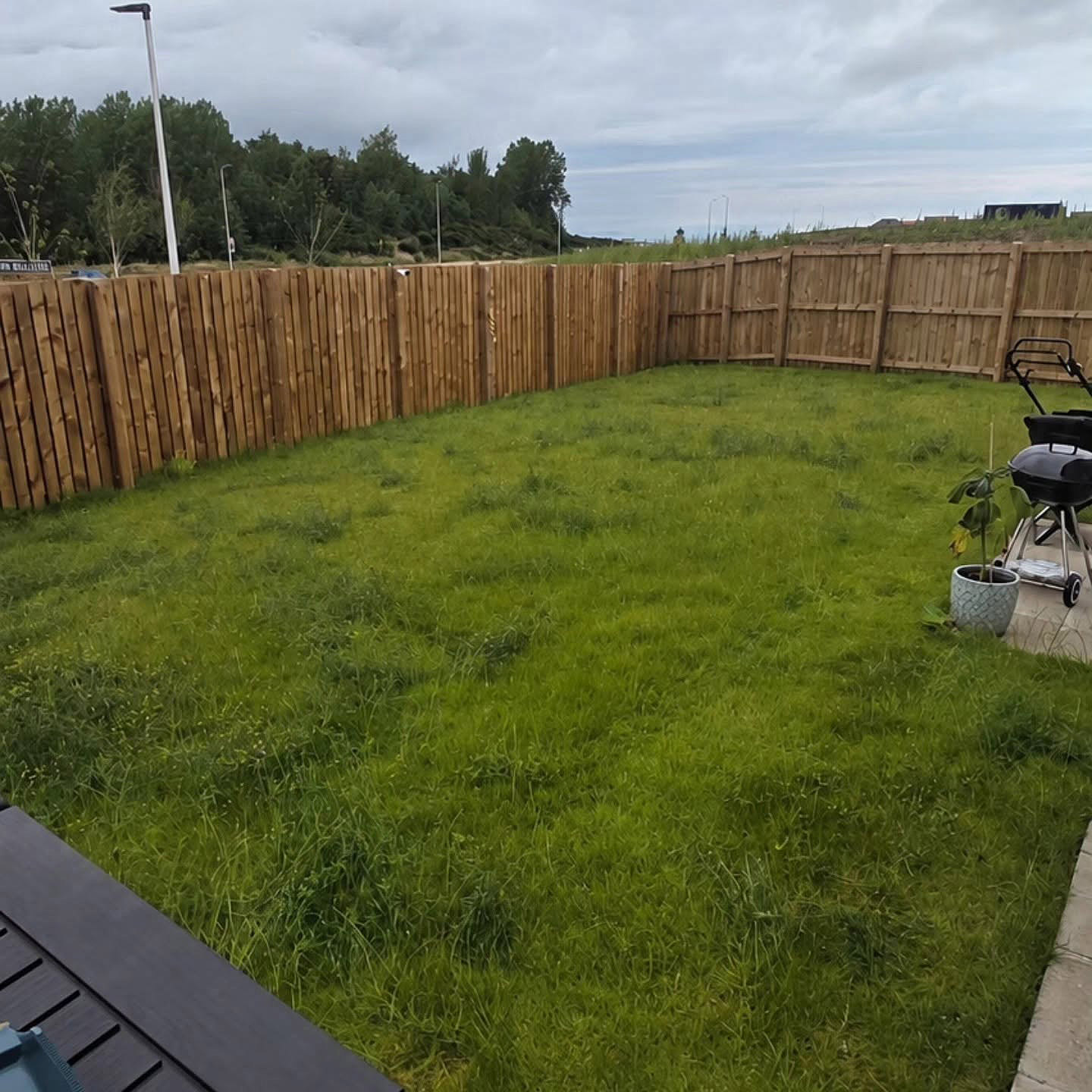 Lawn Turnaround in Wallyford: before