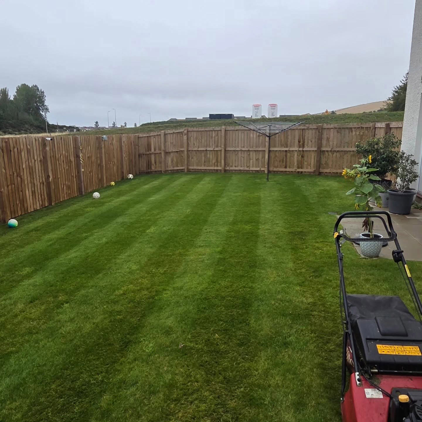 Our Work Lawn Turnaround in Wallyford