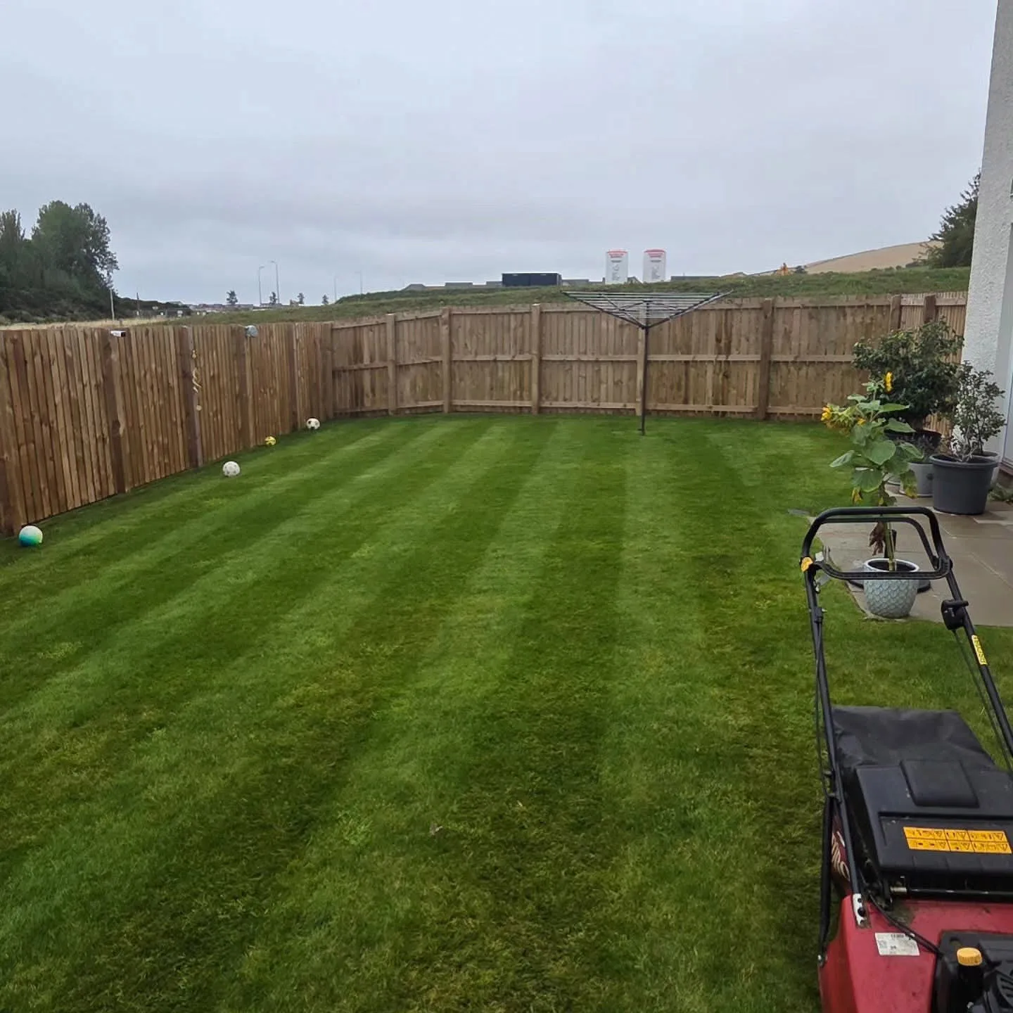 Lawn Turnaround in Wallyford