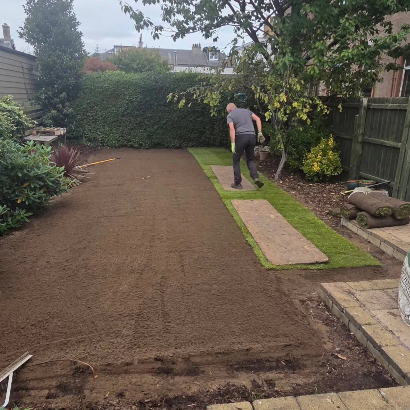New turf going down on the levelled rootzone in Trinity