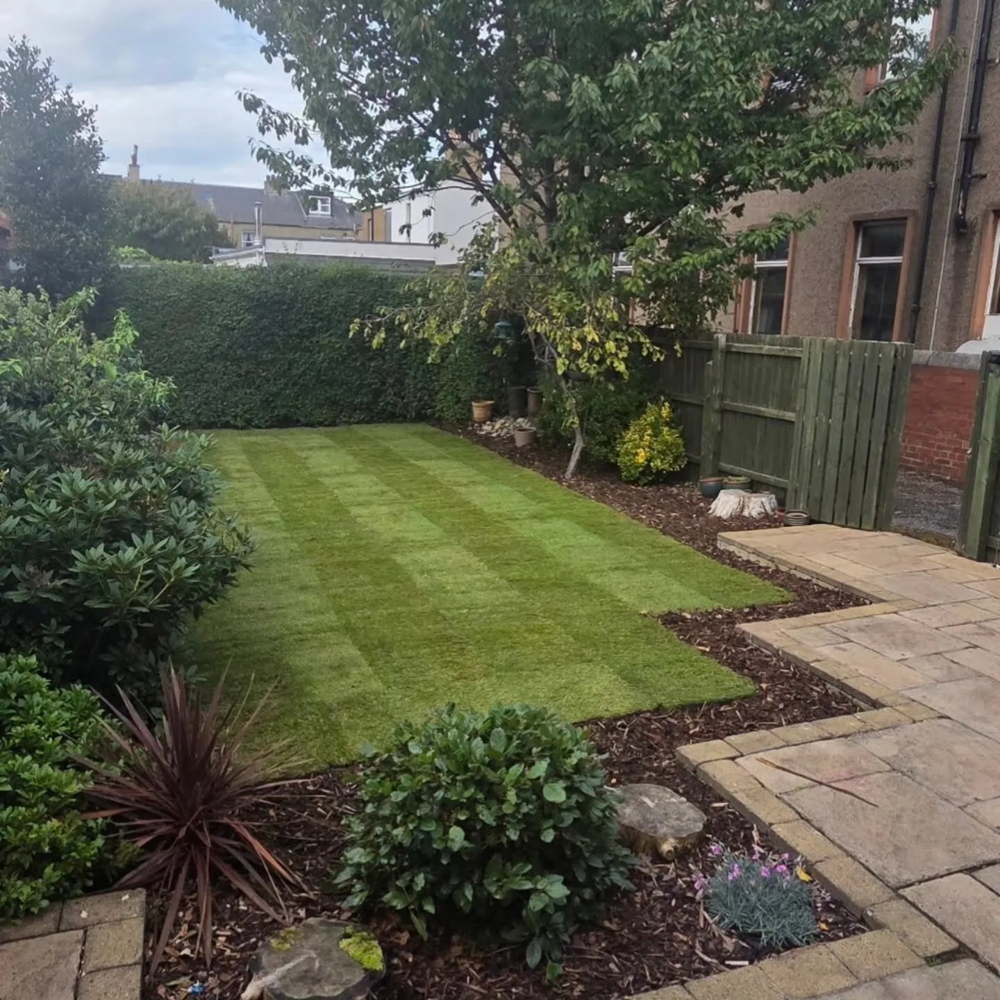 Turfing in Trinity
