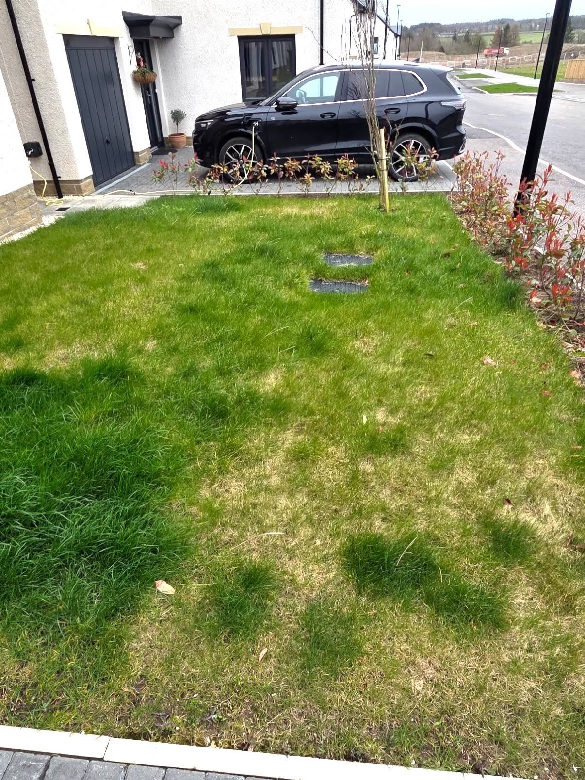 Thin, patchy front lawn in Auchendinny in March, before DSM took it on to the plan