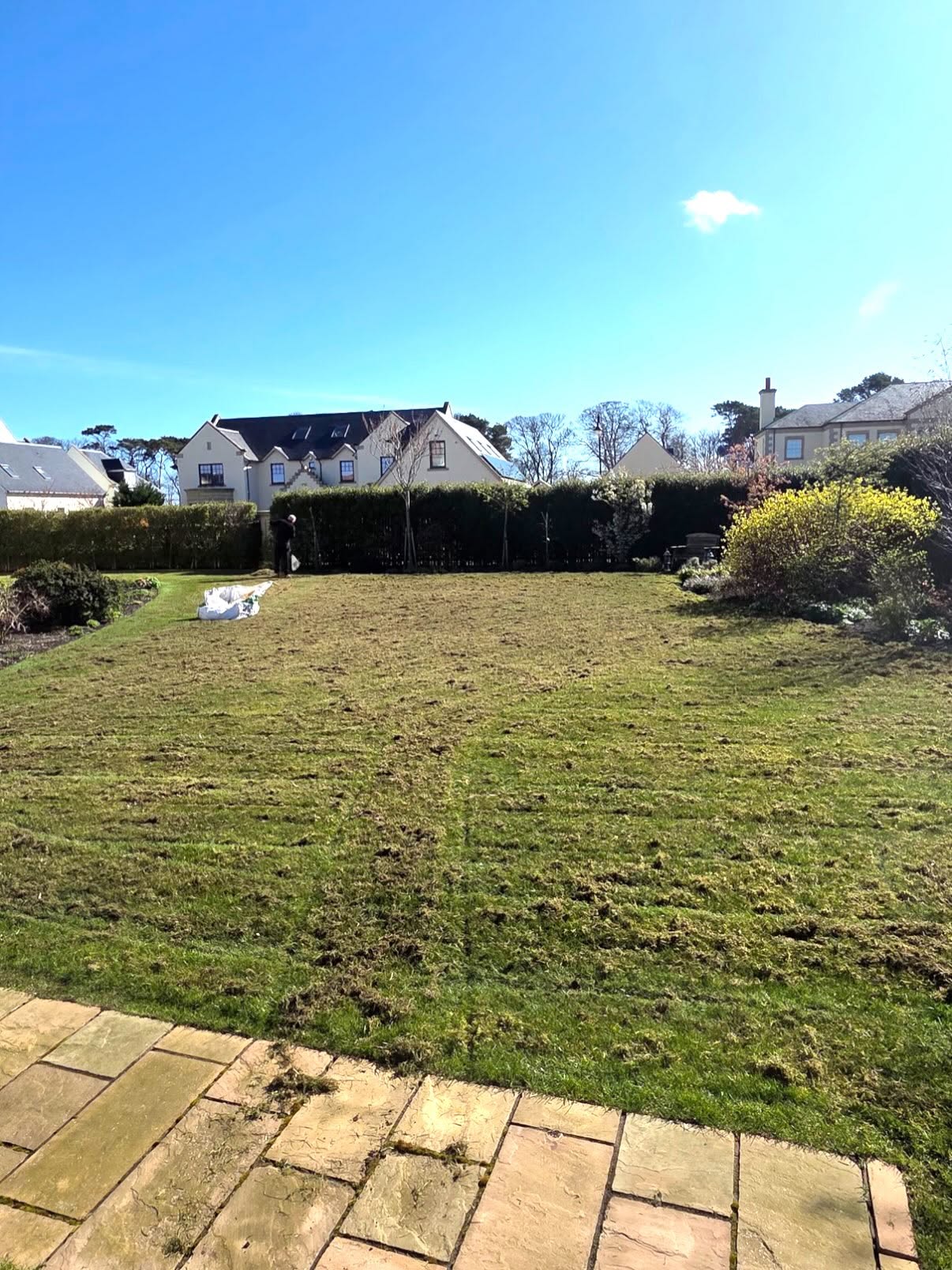 Lawn Care in Archerfield: before