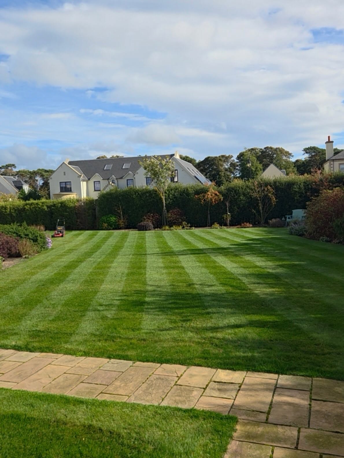 Lawn Care in Archerfield
