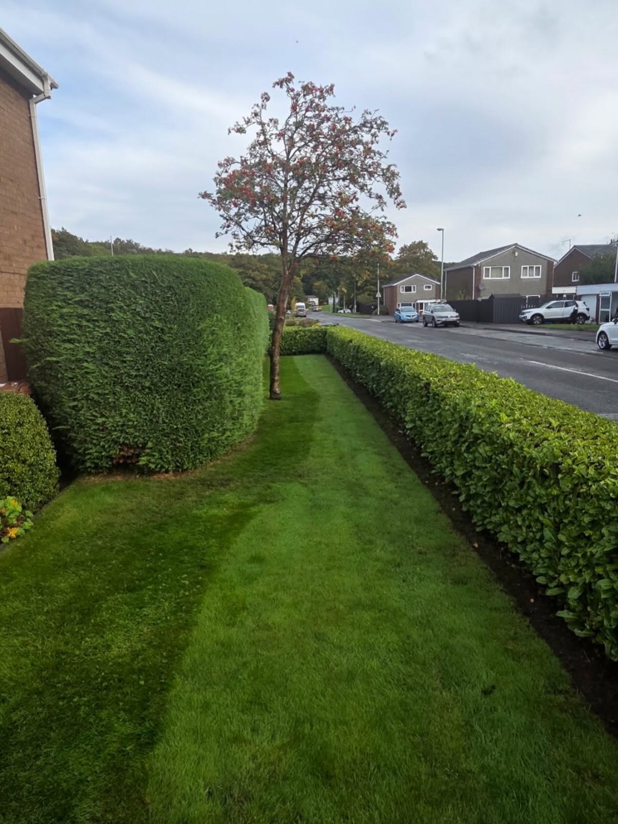 Lawn Care in Newbattle