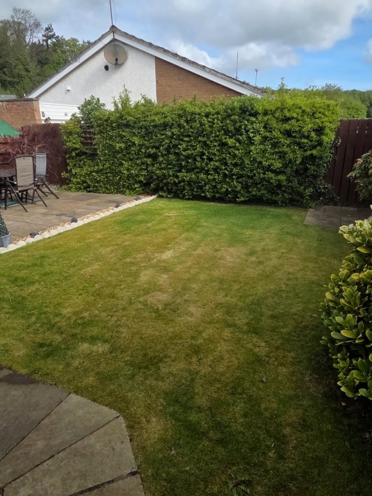 Back lawn in Newbattle beside a patio and a tall hedge, cut and treated over the season